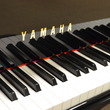 2013 Yamaha DGB1K Disklavier E3 model with record - Grand Pianos